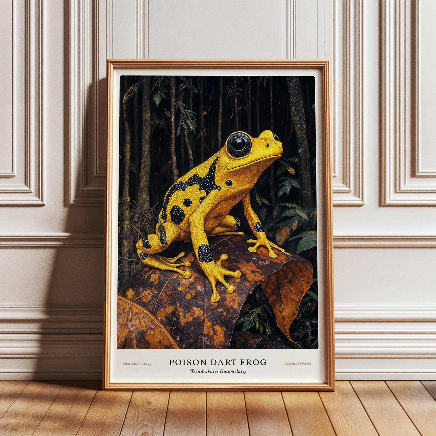 Poison Dart Frog Poster